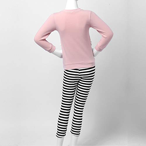 dPois Traje de Chándal para Niña Pequeña Sudadera de Manga Larga y Leggings de Cintura elástica Trajes de Otoño Invierno Rosa 4-5 años