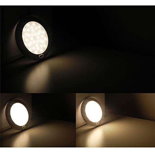 Dream Lighting 12V 5" Luz LED con Interruptor Luz de Domo/Panel de Luz LED para RV/Barco/Marina/Caravana/Casa rodante, Blanco Cálido