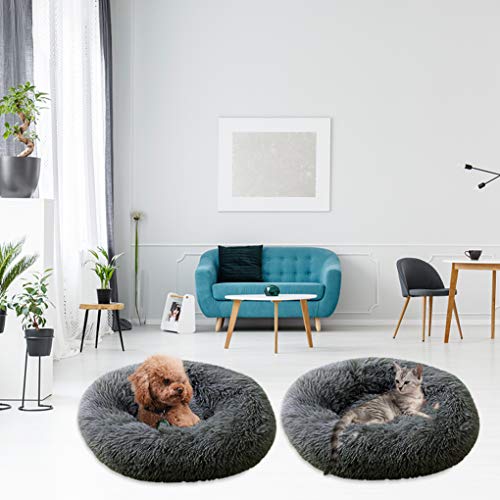 Dsaren Cama Redonda Mascotas Relajante Cama Gatos Suave Felpa Donut Cama Perros Cojín Antideslizante para Gatos y Perros Grande Pequeño (70cm, Gris Oscuro) Dsaren Cama Redonda Mascotas Relajante Cama Gatos Suave Felpa Donut Cama Perros Cojín Antideslizante para Gatos y Perros Grande Pequeño (70cm, Gris Oscuro)