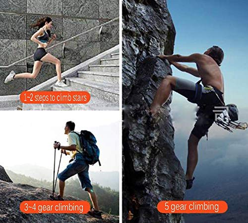 DSHUJC Máquina de Ejercicios para Escalador Vertical, Escalador Vertical para Trabajo Pesado Gym Master, 5 Engranajes Ajustables, Almacenamiento Plegable, Contador LCD, Pedal antideslizan DSHUJC Máquina de Ejercicios para Escalador Vertical, Escalador Vertical para Trabajo Pesado Gym Master, 5 Engranajes Ajustables, Almacenamiento Plegable, Contador LCD, Pedal antideslizan