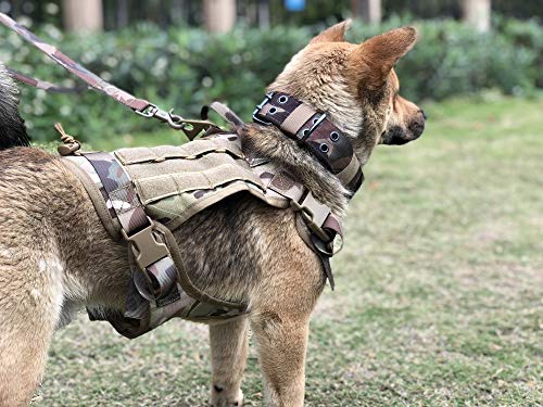 Ducomi Arnés Táctico Militar + Correa para Perro K9, Perros de Entrenamiento y de Trabajo - Arnés Chaleco para Perros Medianos, Grandes, Pastor Alemán, Pitbull, Rottweiler (Olive + Correa, L)