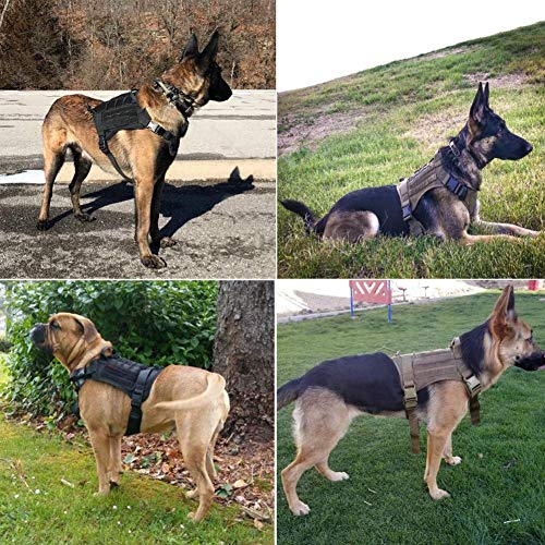 Ducomi Arnés Táctico Militar + Correa para Perro K9, Perros de Entrenamiento y de Trabajo - Arnés Chaleco para Perros Medianos, Grandes, Pastor Alemán, Pitbull, Rottweiler (Olive + Correa, L)