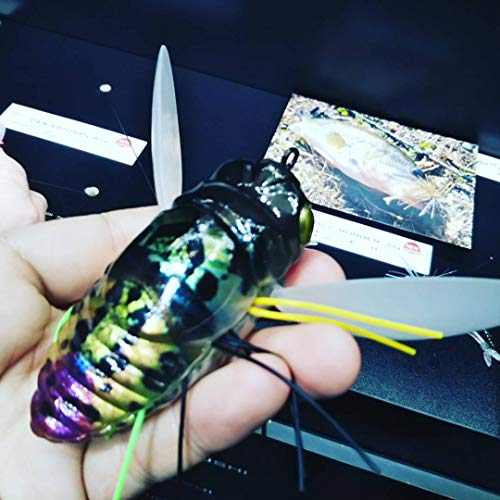 DUO Realis Grande A DekaShinmushi - Señuelo flotante para cicada (7,5 cm, 32,5 g), ACC3204 Aburazemi. DUO Realis Grande A DekaShinmushi - Señuelo flotante para cicada (7,5 cm, 32,5 g), ACC3204 Aburazemi.