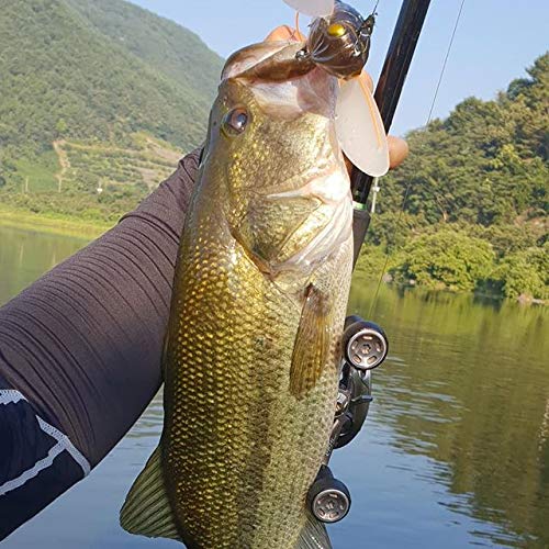 DUO Realis Grande A DekaShinmushi - Señuelo flotante para cicada (7,5 cm, 32,5 g), CCC3202 Haruzemi