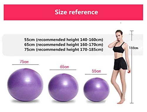 Dyfree Birthing Ball 65cm Anti Burst ，Exercise Ball 85cm/55cm/65cm/75cm with Pump,Anti-Burst & Anti-Slip Gym Ball,Yoga Ball Balance Ball for Fitness Pilates (Purple, 65cm)