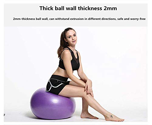 Dyfree Birthing Ball 65cm Anti Burst ，Exercise Ball 85cm/55cm/65cm/75cm with Pump,Anti-Burst & Anti-Slip Gym Ball,Yoga Ball Balance Ball for Fitness Pilates (Purple, 65cm)