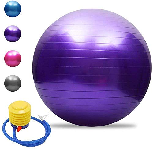 Dyfree Birthing Ball 65cm Anti Burst ，Exercise Ball 85cm/55cm/65cm/75cm with Pump,Anti-Burst & Anti-Slip Gym Ball,Yoga Ball Balance Ball for Fitness Pilates (Purple, 65cm)