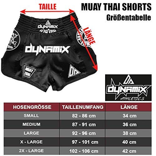 Dynamix Athletics Shorts de Muay Thai Warpath Gris - Pantalones Cortos tailandeses Premium para Boxeo tailandés Pantalones thaibox Tradicionales para Hombres con Material Air-Tech (S)