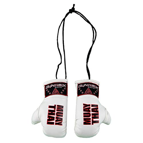 Dynamix Athletics V2 - Guantes de boxeo para coche, con espejo interior, 6 diseños geniales (Muay Thai – blanco)