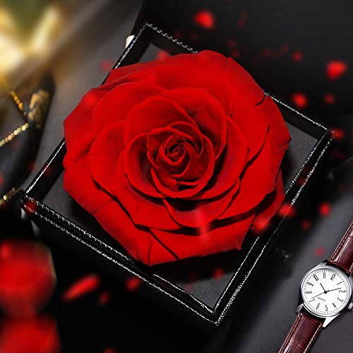 E-MANIS Rosa Eterna Caja de Joyería Ramos Flores Preservadas a Mano Bella y La Bestia, San Valentin Novia Regalos para Bodas de Oro Aniversario Pareja Originales para Mujer tu Madre Cumpleaños Navidad