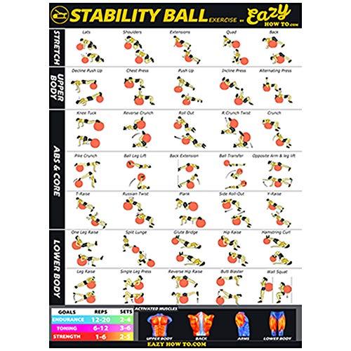 Eazy How To Póster de pelota de estabilidad, 51 x 73 cm, para entrenamiento de entrenamiento, entrenamiento de resistencia, tono, fortaleza y musculatura en casa
