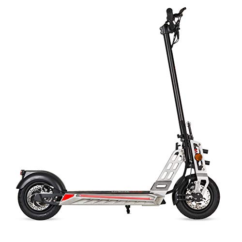 ECOXTREM Patinete eléctrico 600W, Plegable con Pantalla LCD y Luces LED. Scooter eléctrico Bison Color Gris.