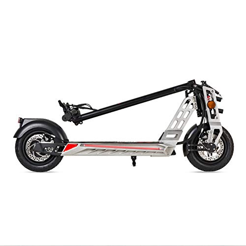 ECOXTREM Patinete eléctrico 600W, Plegable con Pantalla LCD y Luces LED. Scooter eléctrico Bison Color Gris.