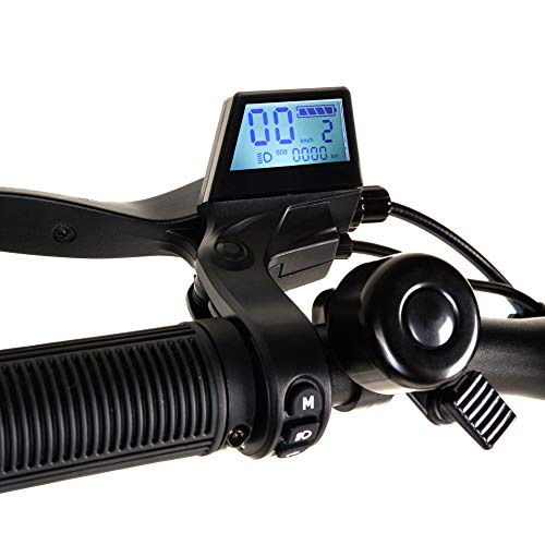 ECOXTREM Patinete eléctrico 600W, Plegable con Pantalla LCD y Luces LED. Scooter eléctrico Bison Color Gris. ECOXTREM Patinete eléctrico 600W, Plegable con Pantalla LCD y Luces LED. Scooter eléctrico Bison Color Gris.