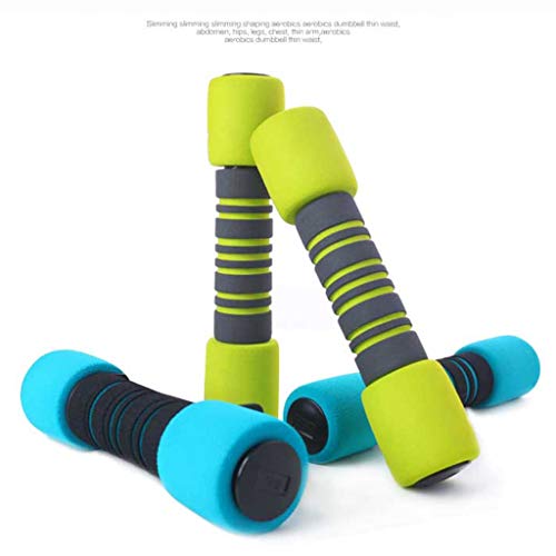 Ejercicio Mancuernas Adelgaza De Pesas Mujeres Casa Aparatos Hombres De Brazo del Entrenamiento con Mancuernas Body Sculpting 2 Piezas (Color : Green, Size : 0.75kg*2) Ejercicio Mancuernas Adelgaza De Pesas Mujeres Casa Aparatos Hombres De Brazo del Entrenamiento con Mancuernas Body Sculpting 2 Piezas (Color : Green, Size : 0.75kg*2)