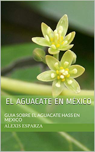El Aguacate en México: GUIA SOBRE EL AGUACATE HASS EN MEXICO El Aguacate en México: GUIA SOBRE EL AGUACATE HASS EN MEXICO