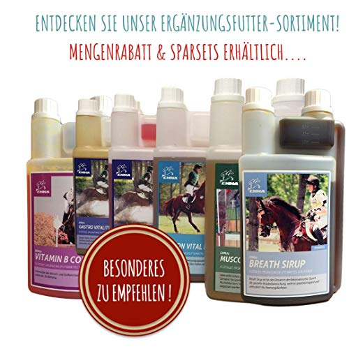 EMMA® Polvo de magnesio I Calm Plus Vitamina E Selenio I Set para calmar I 1 Booster Pasta Vitamina B12 L Tryptopano I para nervios I en caso de ansiedad Caballo terrible I 1 kg + 1 x 30 ml EMMA® Polvo de magnesio I Calm Plus Vitamina E Selenio I Set para calmar I 1 Booster Pasta Vitamina B12 L Tryptopano I para nervios I en caso de ansiedad Caballo terrible I 1 kg + 1 x 30 ml