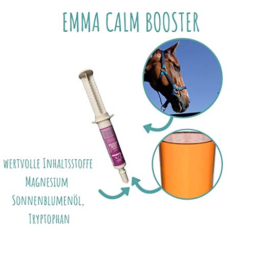 EMMA® Polvo de magnesio I Calm Plus Vitamina E Selenio I Set para calmar I 1 Booster Pasta Vitamina B12 L Tryptopano I para nervios I en caso de ansiedad Caballo terrible I 1 kg + 1 x 30 ml