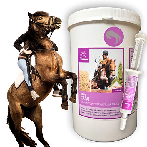 EMMA® Polvo de magnesio I Calm Plus Vitamina E Selenio I Set para calmar I 1 Booster Pasta Vitamina B12 L Tryptopano I para nervios I en caso de ansiedad Caballo terrible I 1 kg + 1 x 30 ml