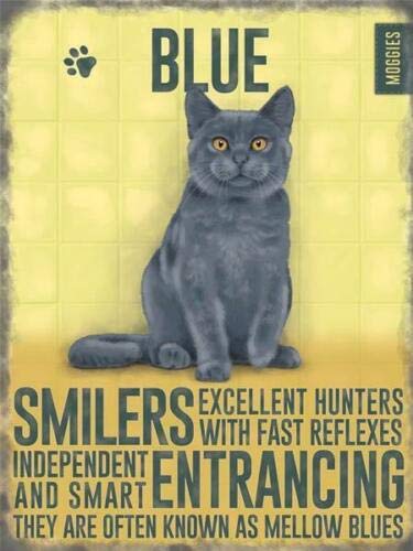 Estilo de la vendimia de pared de Metal placa de gato azul ruso gato regalo