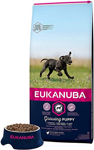 Eukanuba Alimento seco para cachorros de razas grandes con pollo 15 kg