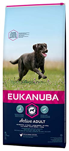 Eukanuba Alimento seco para perros adultos de razas grandes con pollo 12 kg