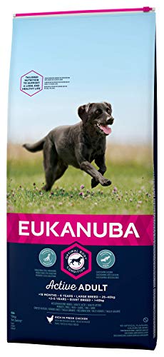 Eukanuba Alimento seco para perros adultos de razas grandes con pollo 12 kg Eukanuba Alimento seco para perros adultos de razas grandes con pollo 12 kg