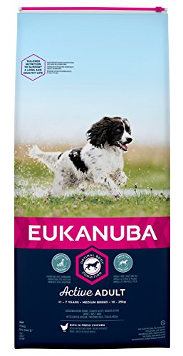 Eukanuba Alimento seco para perros adultos de razas medianas con pollo 15 kg Eukanuba Alimento seco para perros adultos de razas medianas con pollo 15 kg