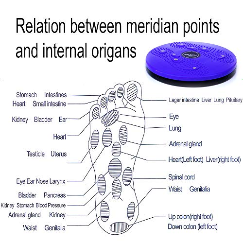 EUROBATT Disco de Torsion de Cintura Giratorio para Fitness, Adelgazar y Fortalecer el Abdomen, Caderas. Plataforma de Equilibrio con imanes de reflexología