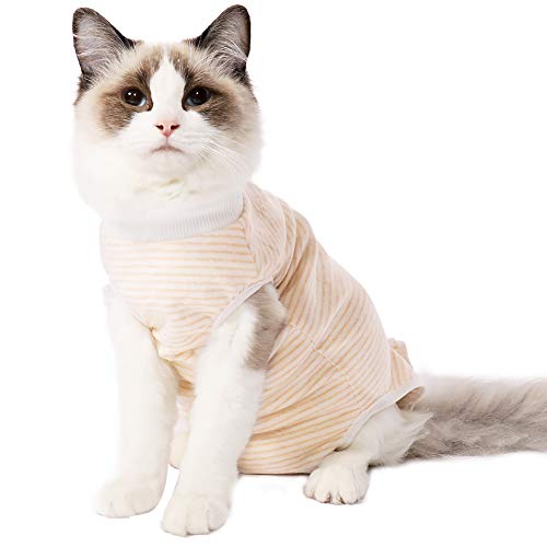 EVEL - Traje de recuperación para gatos, transpirable, a rayas, quirúrgico, para enfermedades de la piel y heridas abdominales, cuello E, alternativa para gatos después de la cirugía, ropa interior