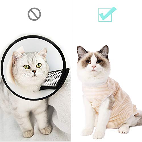 EVEL - Traje de recuperación para gatos, transpirable, a rayas, quirúrgico, para enfermedades de la piel y heridas abdominales, cuello E, alternativa para gatos después de la cirugía, ropa interior