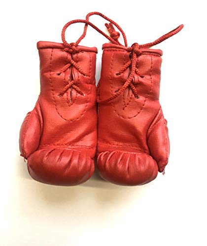 Everlast Autografiada Mini Guantes de Boxeo Muhammad Ali