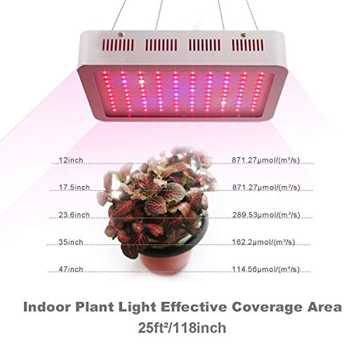 Exmate 300W LED Grow Light Planta de cultivo de Triple Triple Chips Full Spectrum con UV & IR para Indoor Medicinal Greenhouse Tienda Hydroponic Veg Flower Bloom Succulents Plantones Blanco