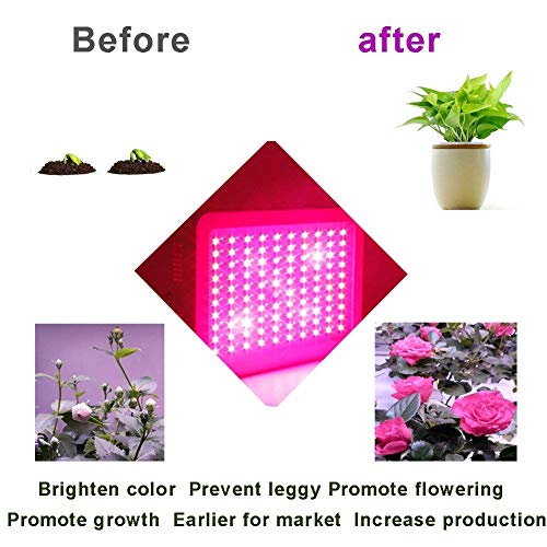 Exmate 300W LED Grow Light Planta de cultivo de Triple Triple Chips Full Spectrum con UV & IR para Indoor Medicinal Greenhouse Tienda Hydroponic Veg Flower Bloom Succulents Plantones Blanco