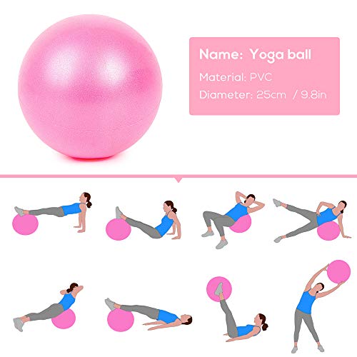 Explopur Mini Yoga Ball 25cm - Bola de Estabilidad Gruesa Anti-explosión Bola física de Pilates Barre Explopur Mini Yoga Ball 25cm - Bola de Estabilidad Gruesa Anti-explosión Bola física de Pilates Barre