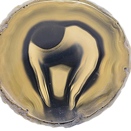 F Fityle 5 Piezas Ágatas Rebanan Posavasos de Cristal para Decoración de Hogar Rebanadas de Mesa Posavasos para Bebidas Colchonetas F Fityle 5 Piezas Ágatas Rebanan Posavasos de Cristal para Decoración de Hogar Rebanadas de Mesa Posavasos para Bebidas Colchonetas