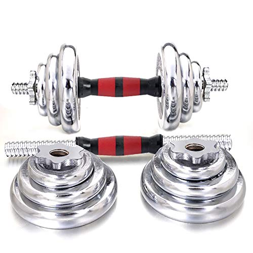 Fanuosuwr Mancuerna Práctica 15kg / 20kg / 30kg Electroplating Dumbbell Dumbbell Dumbbell Dumbbell Ajustable con Maleta Ampliamente Utilizado (Color : Silver, Size : 15kg)