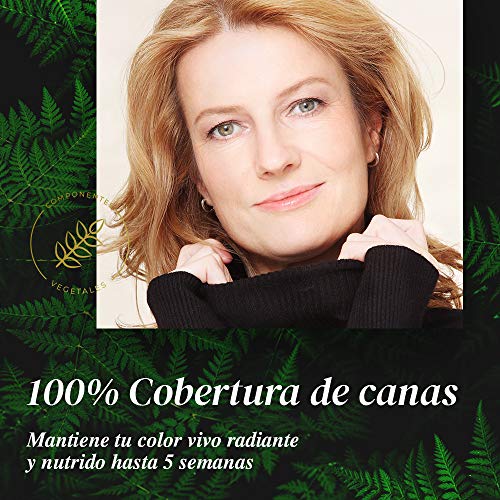 Farmatint Gel 1N Negro | Color Natural y Duradero | Componentes Vegetales y Aceites Naturales | sin Amoníaco | sin Parabenos | Dermatológicamente Testado Farmatint Gel 1N Negro | Color Natural y Duradero | Componentes Vegetales y Aceites Naturales | sin Amoníaco | sin Parabenos | Dermatológicamente Testado