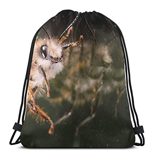 Fashion boutique clothing Mochila ligera de cristal con efecto reflejo de abeja con cordón para gimnasio, viajes, yoga, bolsa de hombro para senderismo, natación, playa