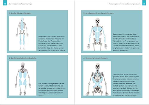 Faszien-Fitness: Vital, elastisch, dynamisch in Alltag und Sport