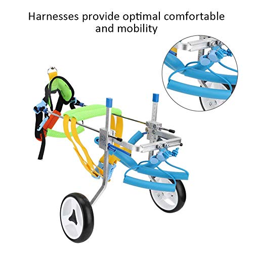 Fditt Silla de Ruedas Ajustable para Mascotas para la Rehabilitación de Piernas Traseras