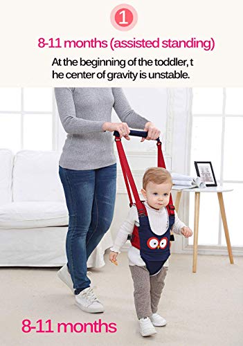 Felly Arnés de Seguridad para Caminar Ajustable Arnés de Bebe a Pie de Caminado Aprendizaje Chaleco Arneses para Niños Andador Arnés Tirantes Con Correa y Hebilla de Bebé Protección 8-24 meses, (azul) Felly Arnés de Seguridad para Caminar Ajustable Arnés de Bebe a Pie de Caminado Aprendizaje Chaleco Arneses para Niños Andador Arnés Tirantes Con Correa y Hebilla de Bebé Protección 8-24 meses, (azul)