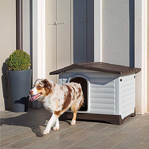 Ferplast Caseta de Exterior, Caseta para Perros DOGVILLA 90 en Resina Termoplástica Resistente, Pared Lateral Abatible Ferplast Caseta de Exterior, Caseta para Perros DOGVILLA 90 en Resina Termoplástica Resistente, Pared Lateral Abatible