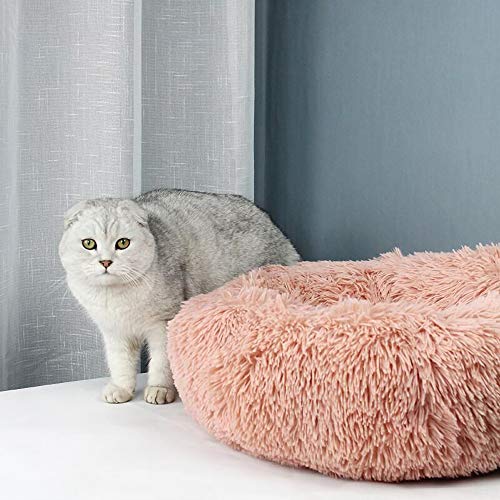 Festnight Cama Perro Gato Grande Pequeño Cama Mascota Redonda Felpa Sofa Suave Cachorro Animales Domésticos Invierno, Cómoda y Lavable, X/S/L/XL, Rosa/Blanco/Gris Claro/Gris Oscuro/Rojo/Marrón Claro Festnight Cama Perro Gato Grande Pequeño Cama Mascota Redonda Felpa Sofa Suave Cachorro Animales Domésticos Invierno, Cómoda y Lavable, X/S/L/XL, Rosa/Blanco/Gris Claro/Gris Oscuro/Rojo/Marrón Claro