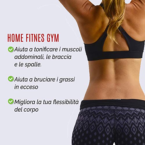FFitness AB Roller with Spring Back Rueda Doble para Abdominales, Unisex Adulto, Gris, Talla única FFitness AB Roller with Spring Back Rueda Doble para Abdominales, Unisex Adulto, Gris, Talla única