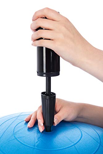 FiNeWaY - Pelota de gimnasia de 75 cm, para ejercicios de yoga, ejercicios de entrenamiento de fuerza, estiramiento, tonificación, ejercicio de resistencia y mucho más. Bomba de mano incluida (azul) FiNeWaY - Pelota de gimnasia de 75 cm, para ejercicios de yoga, ejercicios de entrenamiento de fuerza, estiramiento, tonificación, ejercicio de resistencia y mucho más. Bomba de mano incluida (azul)