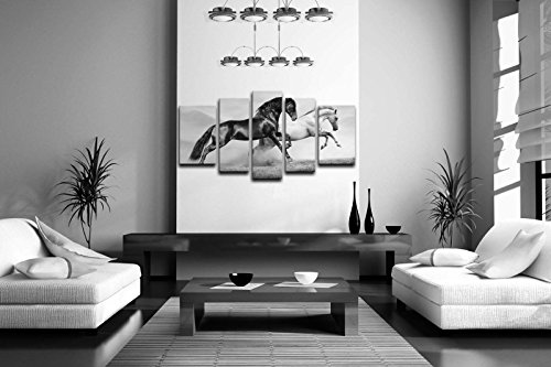 First Wall Art 5 Panel Negro Y Blanco Caballos Corriendo En Pradera En VeranoPintura de la Pintura de la Pared La impresión de la Imagen Decoración Moderna del Ministerio del Interior