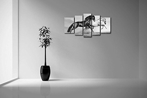 First Wall Art 5 Panel Negro Y Blanco Caballos Corriendo En Pradera En VeranoPintura de la Pintura de la Pared La impresión de la Imagen Decoración Moderna del Ministerio del Interior