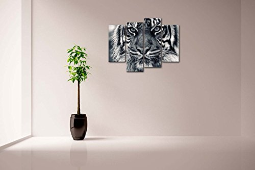 First Wall Art Cuadro de Pared con diseño de Tigre Blanco y Negro con Ojos Mirando y Barba, impresión de imágenes sobre Lienzo, Animales, la Imagen para