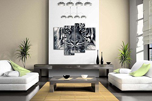 First Wall Art Cuadro de Pared con diseño de Tigre Blanco y Negro con Ojos Mirando y Barba, impresión de imágenes sobre Lienzo, Animales, la Imagen para